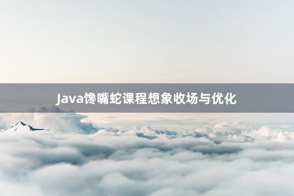 Java馋嘴蛇课程想象收场与优化