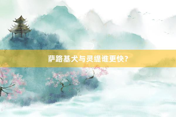 萨路基犬与灵缇谁更快?